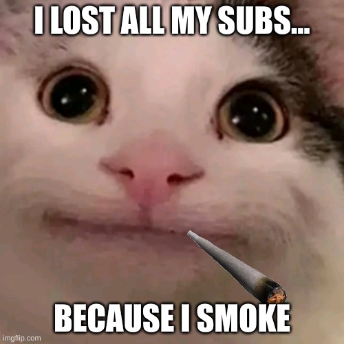 When Beluga Smokes... | I LOST ALL MY SUBS... BECAUSE I SMOKE | image tagged in beluga | made w/ Imgflip meme maker