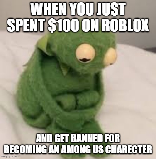 meme | WHEN YOU JUST SPENT $100 ON ROBLOX; AND GET BANNED FOR BECOMING AN AMONG US CHARECTER | image tagged in kermit the frog,roblox,money | made w/ Imgflip meme maker