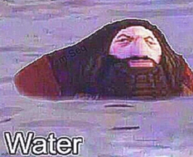 Water | image tagged in water | made w/ Imgflip meme maker