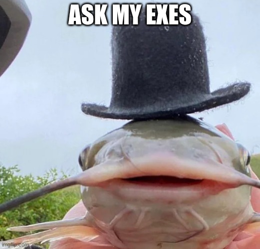 catfish drip | ASK MY EXES | image tagged in catfish drip | made w/ Imgflip meme maker