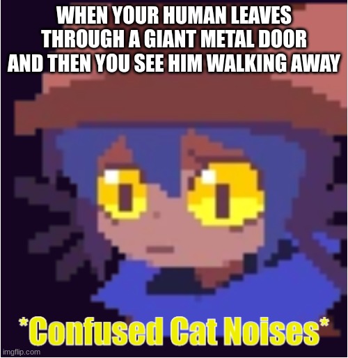confused cat noises | WHEN YOUR HUMAN LEAVES THROUGH A GIANT METAL DOOR AND THEN YOU SEE HIM WALKING AWAY | image tagged in confused cat noises,cat | made w/ Imgflip meme maker