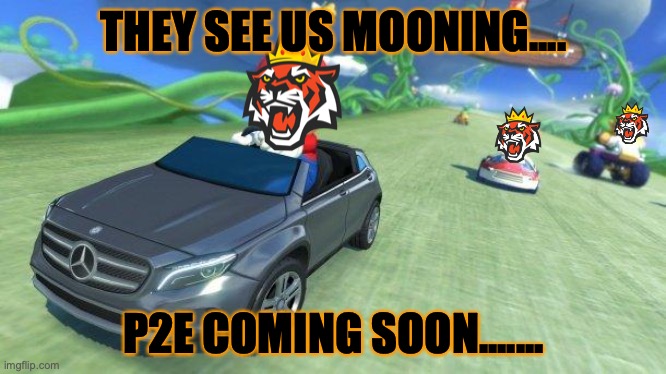 Tiger King Coin Racing Game | THEY SEE US MOONING.... P2E COMING SOON....... | image tagged in mario kart 8,tiger king | made w/ Imgflip meme maker
