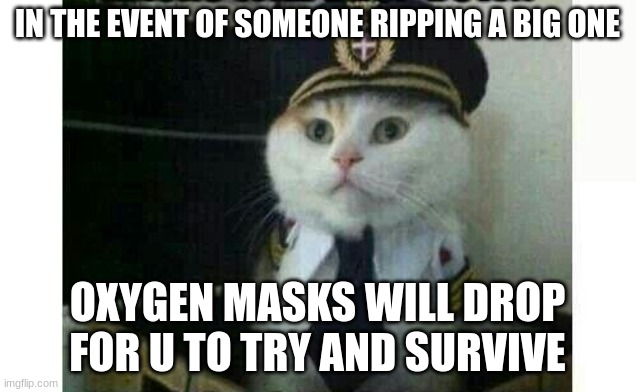lol | IN THE EVENT OF SOMEONE RIPPING A BIG ONE; OXYGEN MASKS WILL DROP FOR U TO TRY AND SURVIVE | image tagged in funny memes | made w/ Imgflip meme maker