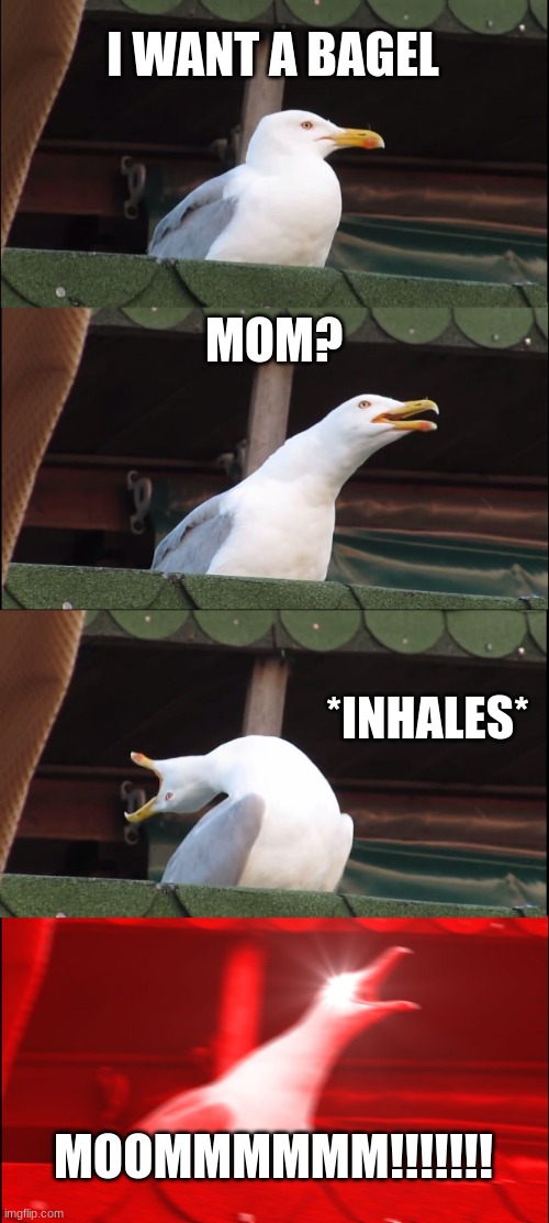 gimme a bagel | I WANT A BAGEL; MOM? *INHALES*; MOOMMMMMM!!!!!!! | image tagged in memes,inhaling seagull | made w/ Imgflip meme maker