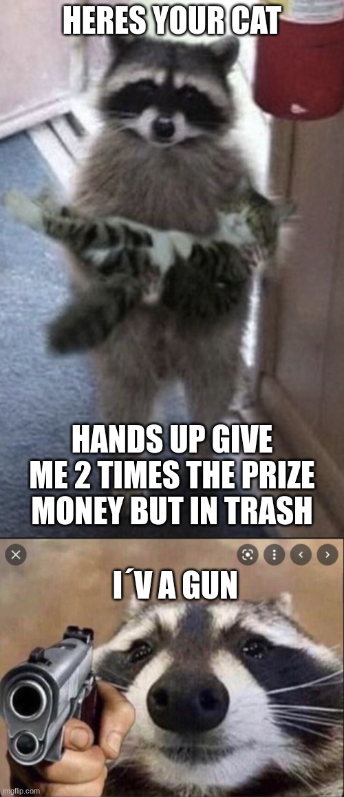 racoon | HERES YOUR CAT; HANDS UP GIVE ME 2 TIMES THE PRIZE MONEY BUT IN TRASH; I´V A GUN | image tagged in racoon holding cat | made w/ Imgflip meme maker