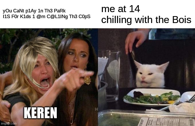 Karen yelling at teens | yOu CaNt p1Ay 1n Th3 PaRk I1S F0r K1ds 1 @m C@L1INg Th3 C0pS; me at 14 chilling with the Bois; KEREN | image tagged in memes,woman yelling at cat | made w/ Imgflip meme maker