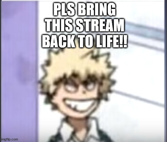 PLSSSSS |  PLS BRING THIS STREAM BACK TO LIFE!! | image tagged in bakugo sero smile | made w/ Imgflip meme maker