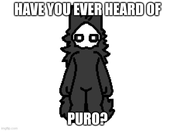 Blank White Template | HAVE YOU EVER HEARD OF PURO? | image tagged in blank white template | made w/ Imgflip meme maker