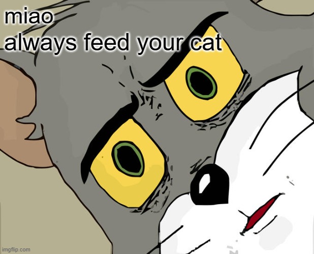 Unsettled Tom | miao; always feed your cat | image tagged in memes,unsettled tom | made w/ Imgflip meme maker