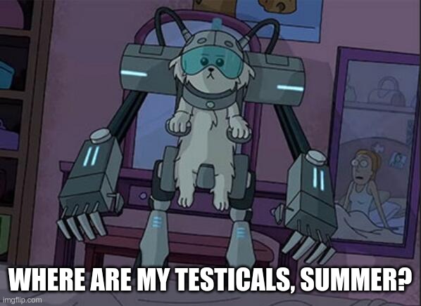 Where are my Testicals | WHERE ARE MY TESTICALS, SUMMER? | image tagged in where are my testicals | made w/ Imgflip meme maker