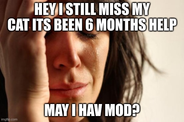 First World Problems Meme | HEY I STILL MISS MY CAT ITS BEEN 6 MONTHS HELP; MAY I HAV MOD? | image tagged in memes,first world problems | made w/ Imgflip meme maker