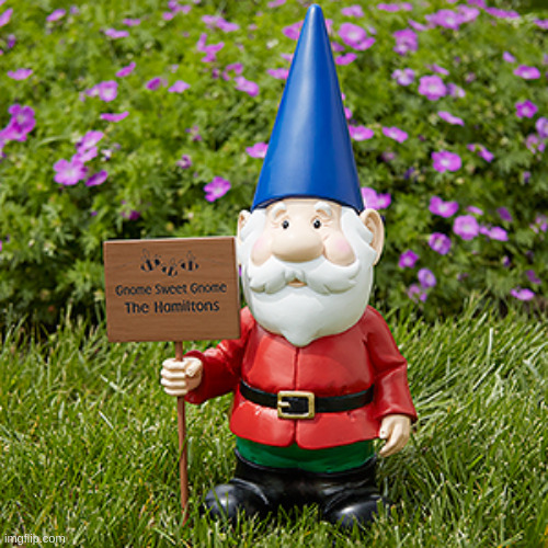 Lawn Gnome | image tagged in lawn gnome | made w/ Imgflip meme maker