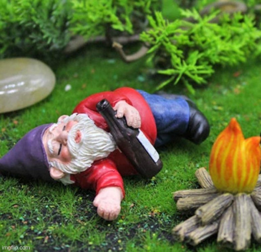 Drunken Lawn Gnome Funny Humor | image tagged in drunken lawn gnome funny humor | made w/ Imgflip meme maker