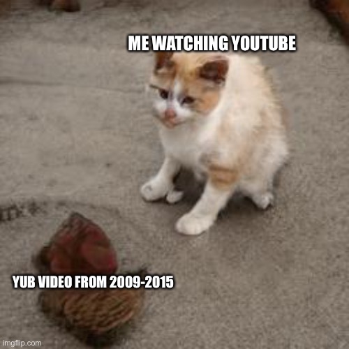 Cat looking at corpse | ME WATCHING YOUTUBE; YUB VIDEO FROM 2009-2015 | image tagged in dead cat,sad cat | made w/ Imgflip meme maker