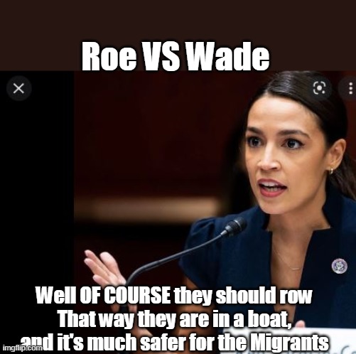 Sharp as a Marble | Roe VS Wade; Well OF COURSE they should row
That way they are in a boat, and it's much safer for the Migrants | image tagged in memes,aoc | made w/ Imgflip meme maker