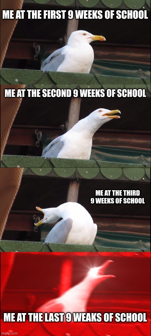 its true thou | ME AT THE FIRST 9 WEEKS OF SCHOOL; ME AT THE SECOND 9 WEEKS OF SCHOOL; ME AT THE THIRD 9 WEEKS OF SCHOOL; ME AT THE LAST 9 WEAKS OF SCHOOL | image tagged in memes,inhaling seagull | made w/ Imgflip meme maker
