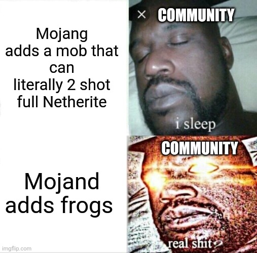New Minecraft Update | COMMUNITY; Mojang adds a mob that can literally 2 shot full Netherite; COMMUNITY; Mojand adds frogs | image tagged in memes,sleeping shaq | made w/ Imgflip meme maker
