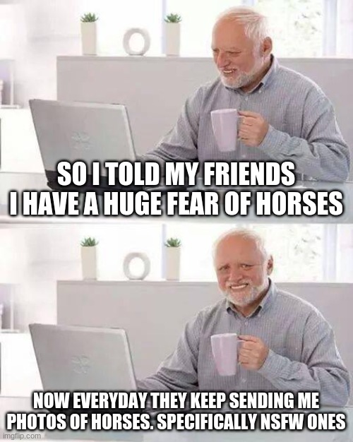 this is true | SO I TOLD MY FRIENDS I HAVE A HUGE FEAR OF HORSES; NOW EVERYDAY THEY KEEP SENDING ME PHOTOS OF HORSES. SPECIFICALLY NSFW ONES | image tagged in memes,hide the pain harold,furry | made w/ Imgflip meme maker