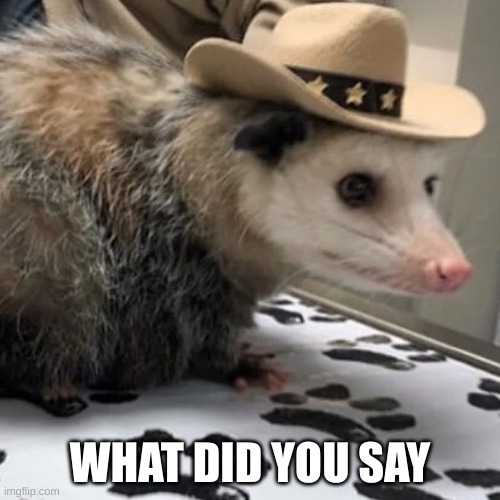 what in tarnation | WHAT DID YOU SAY | image tagged in opsom funny | made w/ Imgflip meme maker