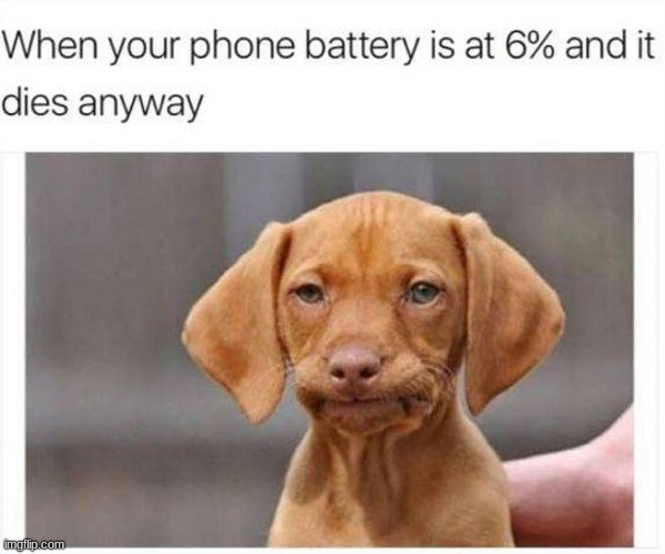 great :( | image tagged in funny meme | made w/ Imgflip meme maker