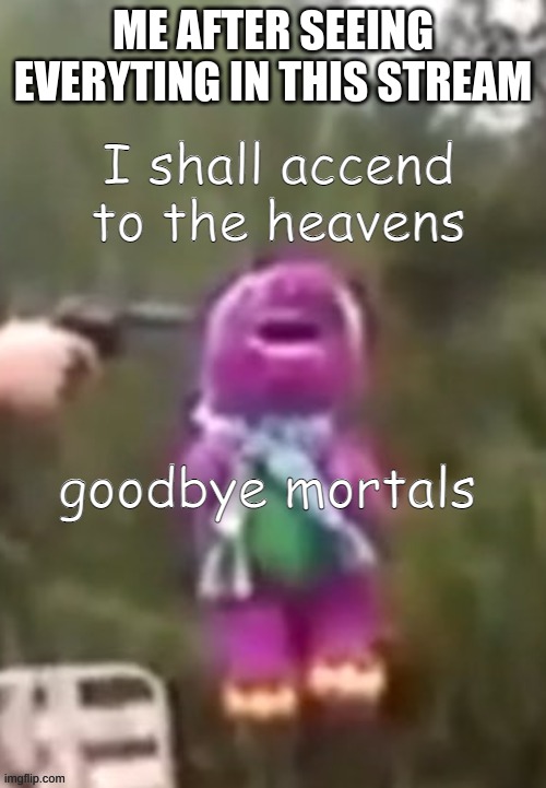 I shall accend to the heavens, goodbye mortals | ME AFTER SEEING EVERYTING IN THIS STREAM | image tagged in i shall accend to the heavens goodbye mortals | made w/ Imgflip meme maker