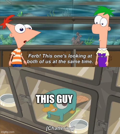 phineas and ferb | THIS GUY | image tagged in phineas and ferb | made w/ Imgflip meme maker