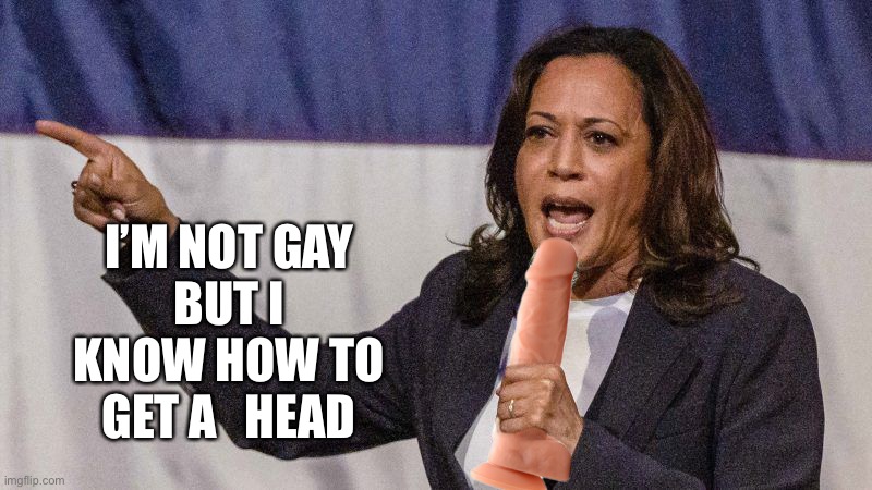 Harris gets a head | I’M NOT GAY
BUT I KNOW HOW TO GET A   HEAD | image tagged in harris and slong,kakistocracy you | made w/ Imgflip meme maker