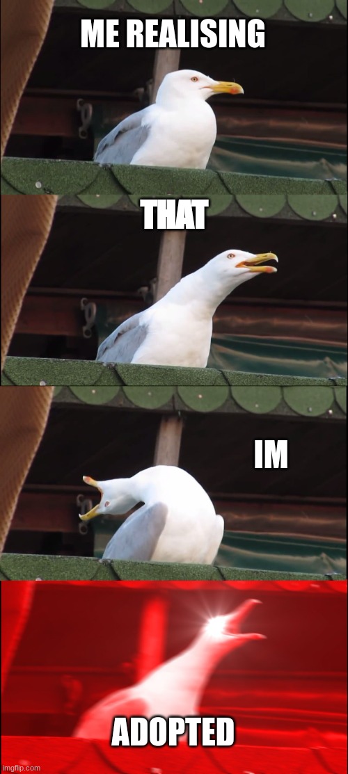 Inhaling Seagull Meme | ME REALISING; THAT; IM; ADOPTED | image tagged in memes,inhaling seagull | made w/ Imgflip meme maker