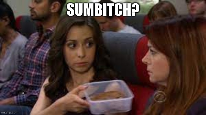 Sumbitch? | SUMBITCH? | image tagged in sumbitch | made w/ Imgflip meme maker