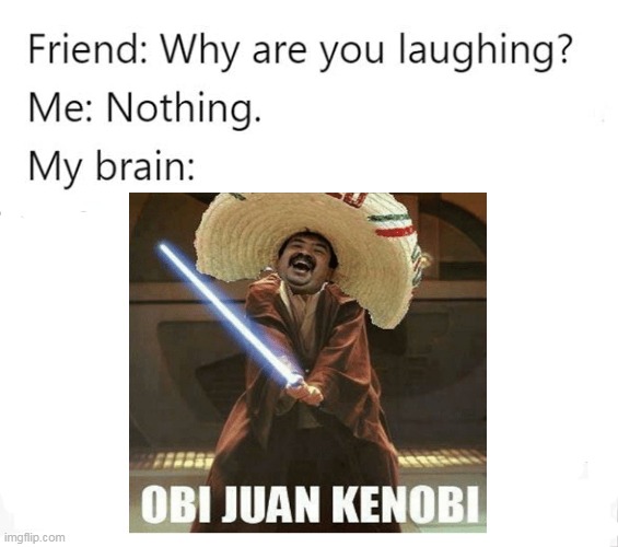 When it's Revenge of the Fifth and Cinco de Mayo at the same time | image tagged in why are you laughing,nothing,my brain,obi juan kenobi,revenge of the sith,cinco de mayo | made w/ Imgflip meme maker