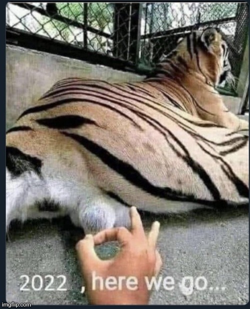 image tagged in funny memes | made w/ Imgflip meme maker