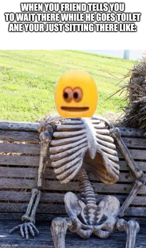 =/ | WHEN YOU FRIEND TELLS YOU TO WAIT THERE WHILE HE GOES TOILET ANE YOUR JUST SITTING THERE LIKE: | image tagged in memes,waiting skeleton | made w/ Imgflip meme maker