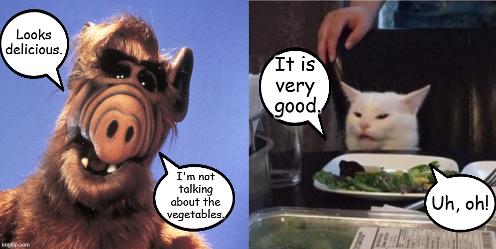 Cat Prefers the Yelling Woman |  Looks
delicious. It is
very
 good. I'm not
talking
about the
vegetables. Uh, oh! | image tagged in alf,memes,woman yelling at cat | made w/ Imgflip meme maker