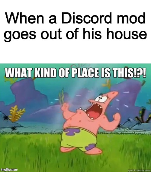 What kind of place is this? | When a Discord mod goes out of his house | image tagged in what kind of place is this | made w/ Imgflip meme maker