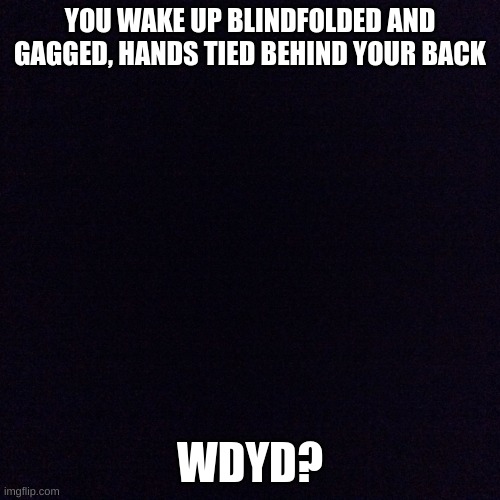 Yeah... This seems to be a popular trend, so... | YOU WAKE UP BLINDFOLDED AND GAGGED, HANDS TIED BEHIND YOUR BACK; WDYD? | image tagged in black screen | made w/ Imgflip meme maker
