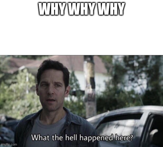 What the hell happened here? | WHY WHY WHY | image tagged in what the hell happened here | made w/ Imgflip meme maker