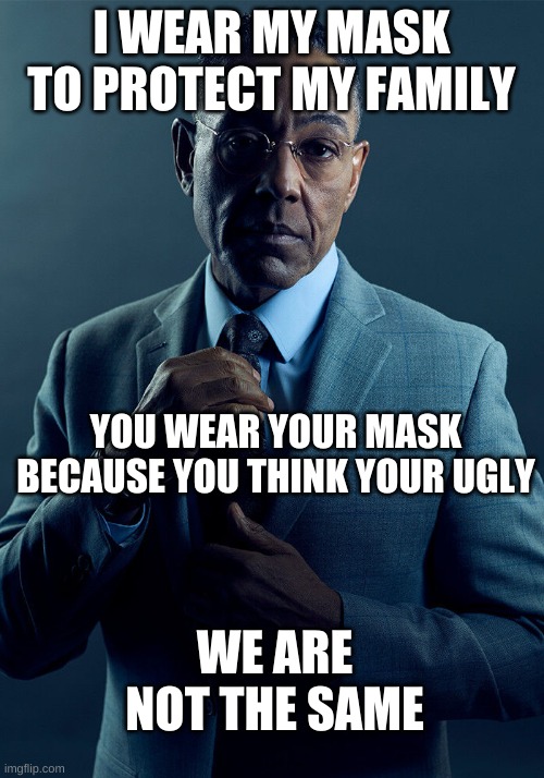 same | I WEAR MY MASK TO PROTECT MY FAMILY; YOU WEAR YOUR MASK BECAUSE YOU THINK YOUR UGLY; WE ARE NOT THE SAME | image tagged in gus fring we are not the same | made w/ Imgflip meme maker