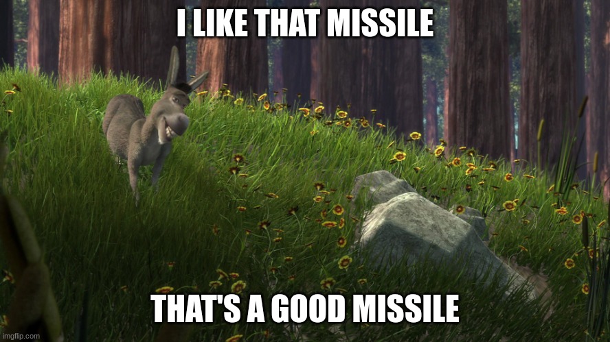 Donkey from Shrek I like that boulder | I LIKE THAT MISSILE THAT'S A GOOD MISSILE | image tagged in donkey from shrek i like that boulder | made w/ Imgflip meme maker