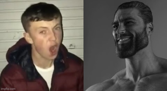 Average Enjoyer meme | image tagged in average enjoyer meme | made w/ Imgflip meme maker