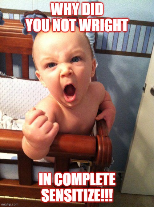 Teacher Meme | WHY DID YOU NOT WRIGHT; IN COMPLETE SENSITIZE!!! | image tagged in angry baby | made w/ Imgflip meme maker