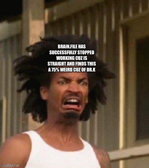 BRAIN.FILE HAS SUCCESSFULLY STOPPED WORKING CUZ IS STRAIGHT AND FINDS THIS A 75% WEIRD CUZ OF DR.K | made w/ Imgflip meme maker