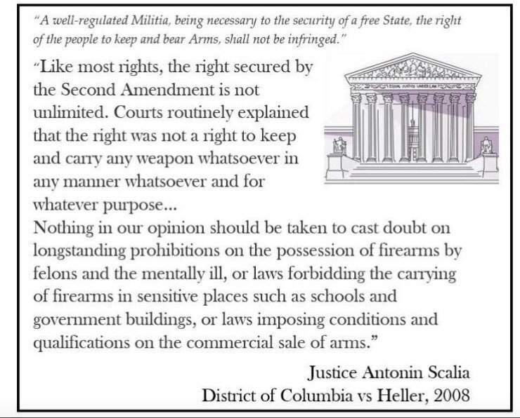 Justice Scalia on D.C. v. Heller Blank Meme Template