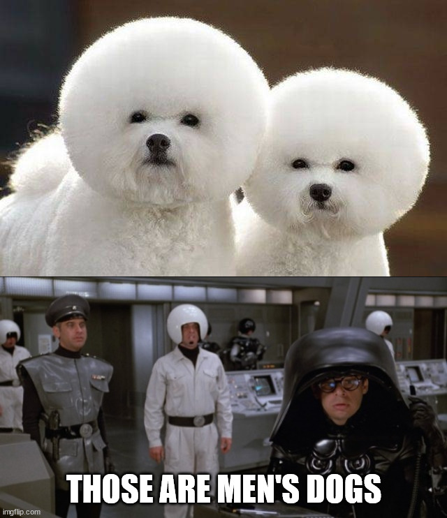 THOSE ARE MEN'S DOGS | image tagged in space balls | made w/ Imgflip meme maker
