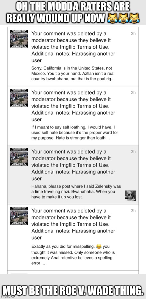 The “Modda”raters are biased | OH THE MODDA RATERS ARE REALLY WOUND UP NOW 😹😹😹; MUST BE THE ROE V. WADE THING. | image tagged in apparently winning the argument is harassment,lefty snowflakes,cant handle the truth,they hate it when they lose | made w/ Imgflip meme maker