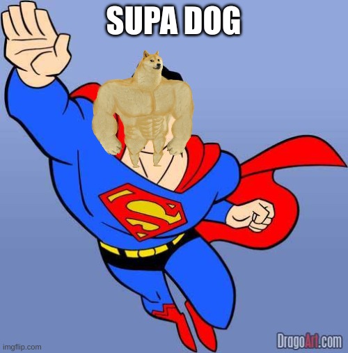 Superman | SUPA DOG | image tagged in superman | made w/ Imgflip meme maker