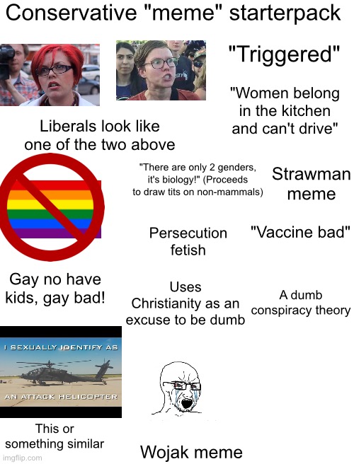 I'm wrong. The conservatives are correct | Conservative "meme" starterpack; "Triggered"; "Women belong in the kitchen and can't drive"; Liberals look like one of the two above; Strawman meme; "There are only 2 genders, it's biology!" (Proceeds to draw tits on non-mammals); "Vaccine bad"; Persecution fetish; Gay no have kids, gay bad! Uses Christianity as an excuse to be dumb; A dumb conspiracy theory; This or something similar; Wojak meme | image tagged in fuck me,not sexually | made w/ Imgflip meme maker