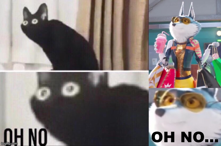 haha im doing this now | OH NO... | image tagged in oh no cat | made w/ Imgflip meme maker