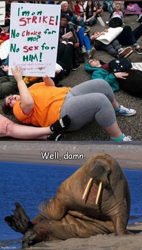 Lowered Expectations Protest |  Well, damn. | image tagged in abortion,fat feminist,walrus,political humor | made w/ Imgflip meme maker