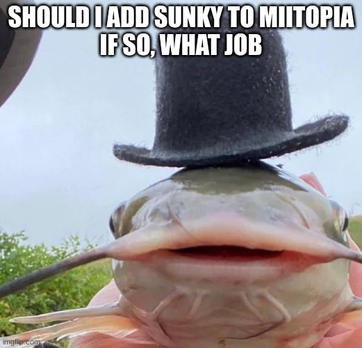 catfish drip | SHOULD I ADD SUNKY TO MIITOPIA
IF SO, WHAT JOB | image tagged in catfish drip | made w/ Imgflip meme maker