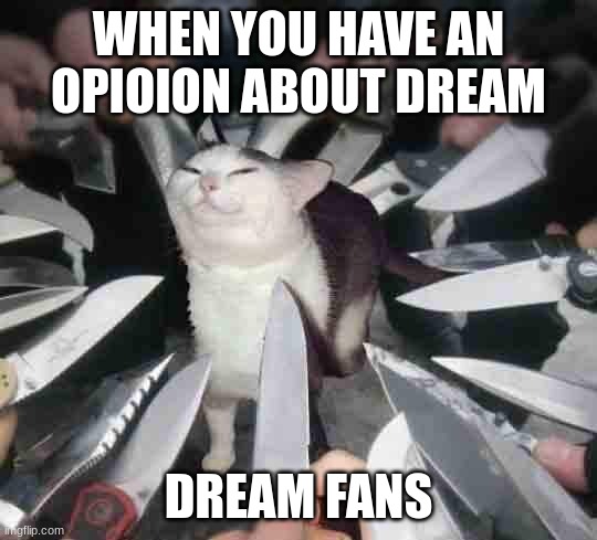 smug cat surrounded by knives | WHEN YOU HAVE AN OPIOION ABOUT DREAM DREAM FANS | image tagged in smug cat surrounded by knives | made w/ Imgflip meme maker
